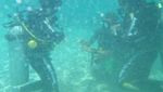Pengalaman Diving Pertamaku