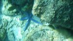 Pengalaman Diving Pertamaku