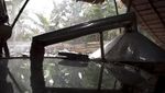 Penyulingan Minyak Kayu Putih di Pulau Buru