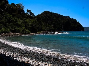 Perbedaan yang Indah dari Teluk Damai dan Teluk Hijau