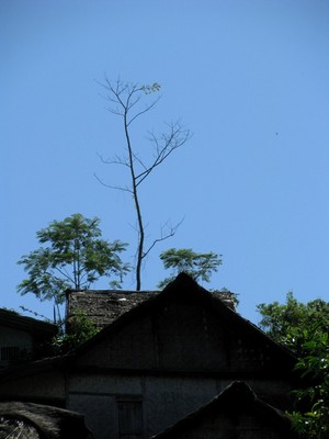 Percakapan Kejakartaan di Baduy Dalam