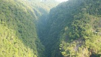 Sigura-gura