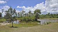 danau yang disebut Danao Puat dan menurut warga sekitarnya di danau tersebut terdapat buaya