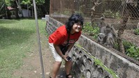 bisa terlihat monyet di sekitar Taman Wisata Buat