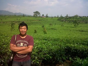Perkebunan Teh Kabawetan Puncak di Samping Bukit Barisan