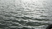 Pemnandangan Danau di Atas
