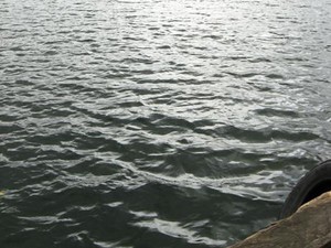Pesona Danau Kembar