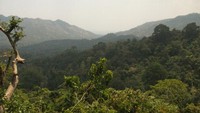 Pusuk Lombok