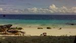 Pesona Pulau Asu