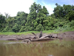 Petualangan Malam di Sungai Daerum yang Penuh Tantangan