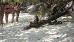 Phi Phi Island di Phuket, Thailand