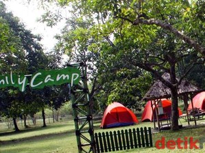 Piknik Asyik Akhir Pekan di Kebun Buah