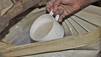 Nira Lonta Air sadapan pohon lontar (Nira) dapat lansung diminum