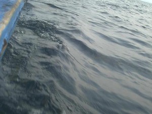 Potensi Pariwisata Pulau Condong