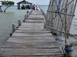 Pulau Biawak