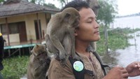 Sambutan hangat dari para monyet (M.Yusuf Simatupang/ACI)