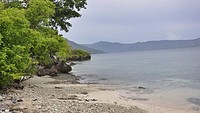 Pemandangan terlihat di Pulau Kepa