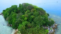 Rimbunnya pepohonan membuat udara di Pulau Lengkuas sangat sejuk meskipun di siang hari.