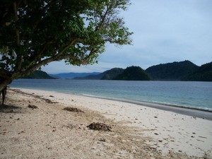 Pulau Pagang, Sensasi Berlibur di Pulau yang Sepi
