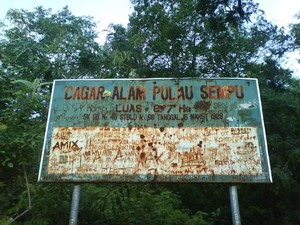 Pulau Sempu Pantai Pribadiku