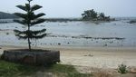 Pulau Simping, Pulau Terkecil Di Dunia