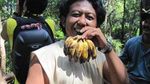 Ranger, Menjadi Orang Hutan Menjaga Orangutan