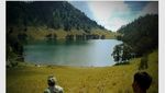 Ranu Kumbolo: Oase di Ketinggian 2400 dpl