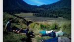 Ranu Kumbolo: Oase di Ketinggian 2400 dpl