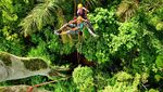 Rasakan Sensasi Seru Amazon Tree Climbing
