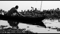 Petani eceng gondok