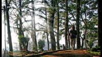 Bukit cinta