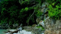 Pantai berpasir putih di salah satu sudut Pulau Tiga