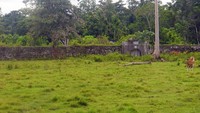 Dari kejauhan terlihat padang rumput yang mengelilingi Benteng VOC
