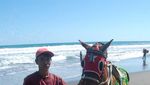 Rohyini,Tukang Sewa Kuda di Pantai Petanahan Kebumen