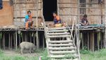 Rumah Kaki Seribu