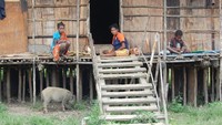 Bersantai di beranda rumah kaki seribu