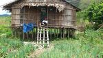 Rumah Kaki Seribu