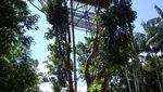 Rumah Pohon dan Suku Korowai, Mutiara Berharga dari Papua