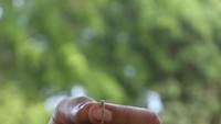 Oleh-oleh kerajinan kulit karet