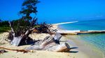 Sagori, Pulau Terangker di Indonesia