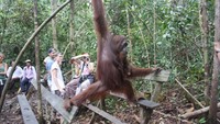 Yuni berpose didepan wisatawan