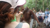 Wisatawan mengabadikan sahabat-sahabat dari Camp Lakey