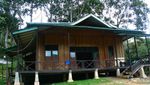 Salam Untuk Rafflesia dan Burung Tohtor