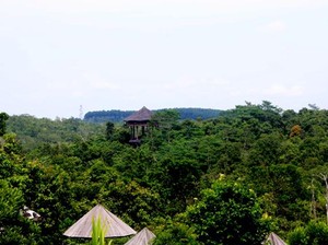 Samboja Lodge, Mendefinisi Ulang Arti Kemewahan