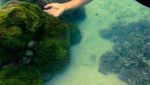 Sangiang, Keindahan Pulau yang Terabaikan