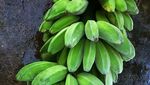 Satu Tandan Pisang Manurun Untuk Kami