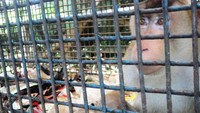 lihaaaaaat kandangnya, dan kau kan temukan setumpuk sampah disana