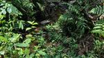 Sebuah Pelajaran Berharga dari Baduy Dalam