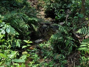 Sebuah Pelajaran Berharga dari Baduy Dalam