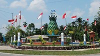 Pulau Kundur juga Sebagai Daerah Penghasil Buah Nanas